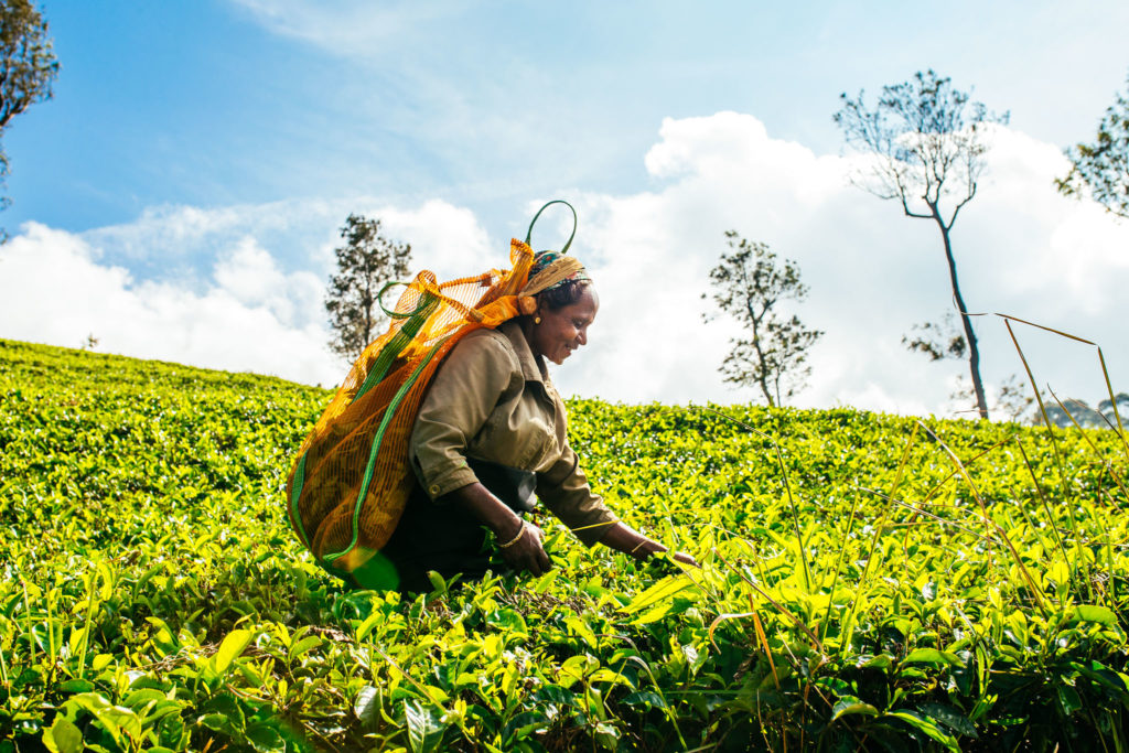 travel lifestyle photography by big blue whale